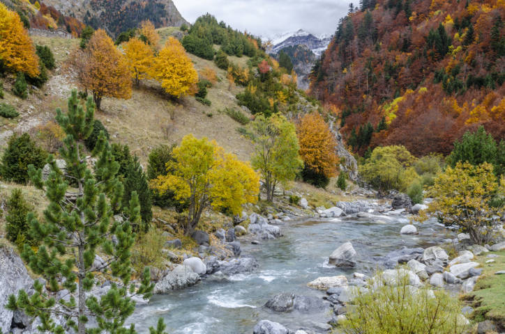 Huesca - valle de Ordiso 05 - rio Ara.jpg